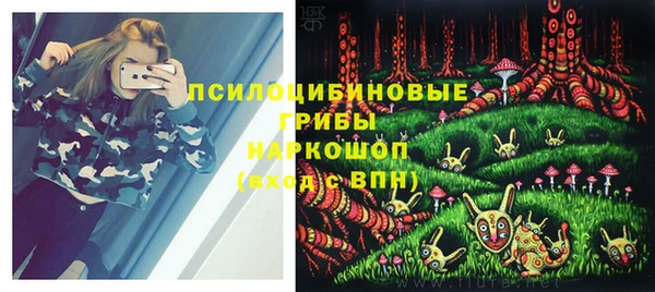 не бодяженный Медногорск
