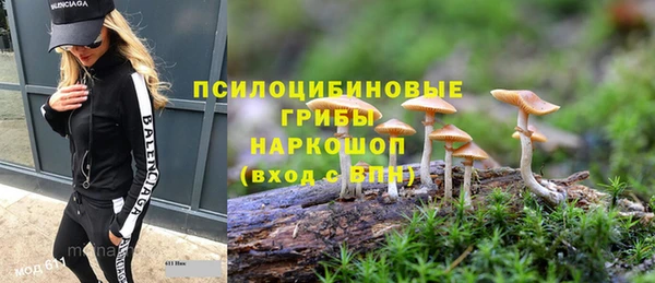 не бодяженный Медногорск