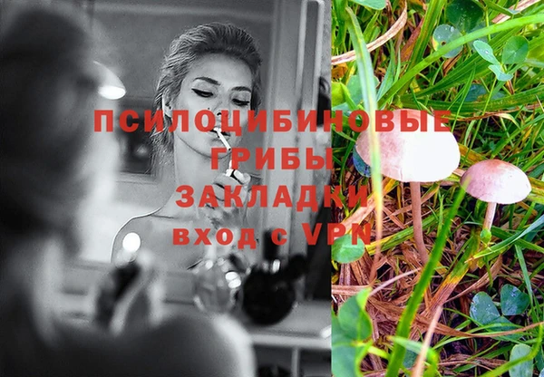крисы Михайловка