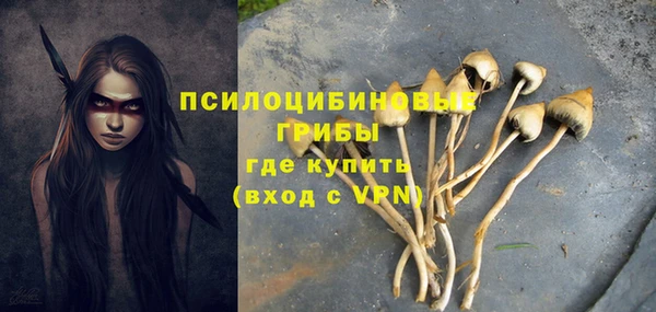 крисы Михайловка