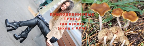 крисы Михайловка