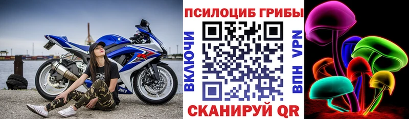 Псилоцибиновые грибы Cubensis  MEGA вход  Нижний Тагил 